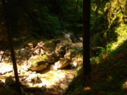 2013-07-20_Regina-F-Rau_Kochel-Rabenkopf (154).JPG
